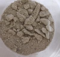 Лот: 13202257. Фото: 3. GrowPlant (Gidroton) пеностекло... Растения и животные