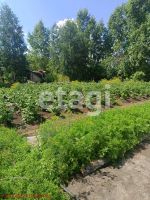 Лот: 25289567. Фото: 13. 4-комн. дом , село Бартат улица...
