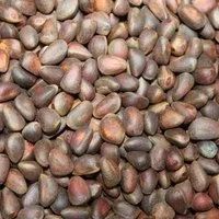 Лот: 8248729. Фото: 2. Орех кедровый урожай 2021г. Продукты
