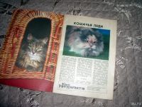 Лот: 8655913. Фото: 4. Журнал (книга) "Юный натуралист... Красноярск