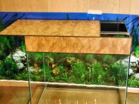 Лот: 6943500. Фото: 5. аквариум с водозащищенным светильником...