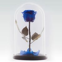 Лот: 14984951. Фото: 2. Роза в колбе. Синяя. Классик... Цветы, букеты