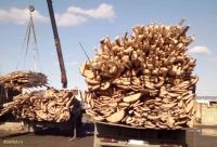 Лот: 3606598. Фото: 7. Горбыль (КАМАЗ-воровайка с доставкой...