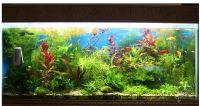 Лот: 1533444. Фото: 2. Удобрение Plant Growth Specialised... Аквариумистика