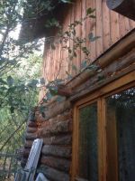 Лот: 7584248. Фото: 2. Обшивка дачного дома. Отделочные материалы