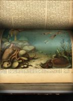 Лот: 15718667. Фото: 17. Происхождение животного мира доктора...