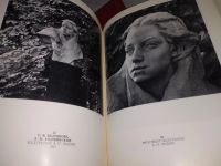 Лот: 18953473. Фото: 12. Ермонская В. Советская мемориальная...