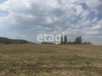 Лот: 25294849. Фото: 2. участок , посёлок Березняки посёлок... Продажа