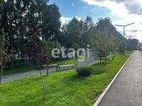 Лот: 25288902. Фото: 19. 3-комн. квартира , Красноярск...