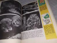 Лот: 19210864. Фото: 6. Земля - наш дом. Сборник. Душой...