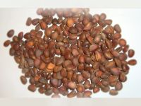 Лот: 4989199. Фото: 2. Крупный кедровый орех. Продукты