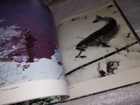 Лот: 14341851. Фото: 3. Jan Duben , Jozef Kroner... Литература, книги