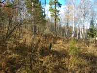 Лот: 12329550. Фото: 4. Участок СПК "Роев ручей-1". Красноярск