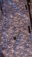 Лот: 3048786. Фото: 3. сноубордическая куртка (так же... Одежда, обувь, галантерея