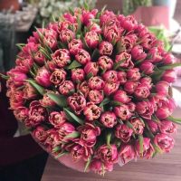 Лот: 15584863. Фото: 9. Тюльпаны Махровые Розе / из Голландии