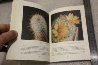 Лот: 20037830. Фото: 6. Книга о кактусах. Залетаева И...