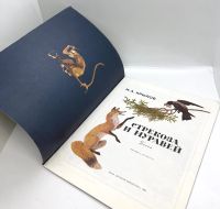 Лот: 25191164. Фото: 2. 📗 И. А. Крылов. Стрекоза и Муравей... Детям и родителям