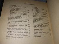 Лот: 16954278. Фото: 3. Висьневска-Рошковска Кинга... Литература, книги