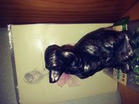 Лот: 12307217. Фото: 4. Статуэтка спаниэль времен СССР. Красноярск