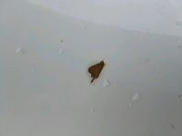 Лот: 9423615. Фото: 2. Ванна из новостройки,есть дефект... Сантехника, водопровод