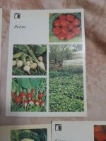 Лот: 24075630. Фото: 2. Открытки. Открытки, билеты и др.