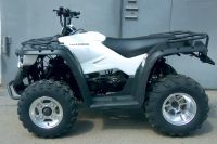 Лот: 25774839. Фото: 11. Квадроцикл LINHAI-YAMAHA M150