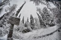 Лот: 7864966. Фото: 3. Объектив Samyang 8mm f/3.5 AS... Красноярск