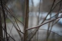 Лот: 16774565. Фото: 3. Гелиос-44М, экспортный, с крышкой. Красноярск