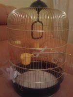 Лот: 3134614. Фото: 2. Хорошая клетка для попугая. Животные и уход