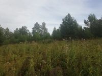 Лот: 11615220. Фото: 4. земельный участок №67 СНТ Ранет. Красноярск