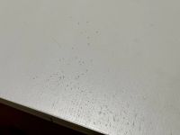 Лот: 18380855. Фото: 4. С рубля! — Раскладной обеденный... Красноярск
