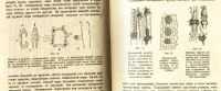 Лот: 17970076. Фото: 13. В.Палладин . Курс ботаники.* 1900...