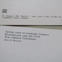 Лот: 20072286. Фото: 5. Открытка Цветы Лучшие сорта коллекции...