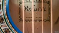 Лот: 13404921. Фото: 2. Акустическая гитара Belucci bc3810... Музыкальные инструменты