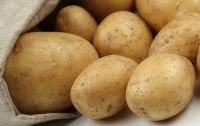 Лот: 5507108. Фото: 2. картошка ведро 10 литров 200руб. Продукты