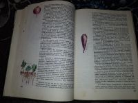 Лот: 21425971. Фото: 4. Алексей Смирнов Мир растений Рассказы... Красноярск