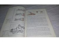 Лот: 11917934. Фото: 8. ок...(09..015) Плотничные работы...