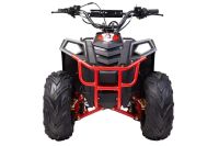 Лот: 25659102. Фото: 4. Квадроцикл RAPTOR Dux Lux 8. Красноярск