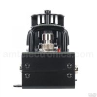 Лот: 13831369. Фото: 5. AMT Electronics АМТ Электроникс...