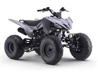 Лот: 25636247. Фото: 5. Квадроцикл SHARMAX Raizer Race...