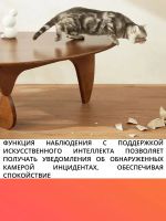 Лот: 25396331. Фото: 14. Видеокамера безопасности Xiaomi...