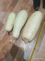 Лот: 20947585. Фото: 2. Кабачок 2. Продукты