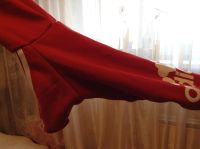 Лот: 4706533. Фото: 3. Кофта для собаки, 40 см длина. Растения и животные