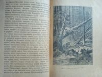 Лот: 25078947. Фото: 5. Тайга и тундра. В.Лункевича...