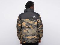 Лот: 24979354. Фото: 4. Куртка зимняя The North Face. Красноярск