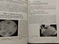 Лот: 21792614. Фото: 6. Кулинарная книга о выпечке 1967...