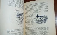 Лот: 24890275. Фото: 4. Охота на болотную и луговую дичь... Красноярск