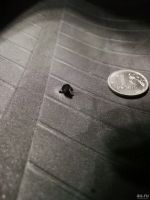 Лот: 18201768. Фото: 6. Шины Bridgestone лето 205/60/16