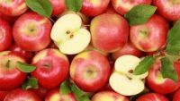 Лот: 5211257. Фото: 2. Яблоки оптом. Продукты