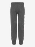 Лот: 23599818. Фото: 8. Брюки мужские The North Face Varsity...